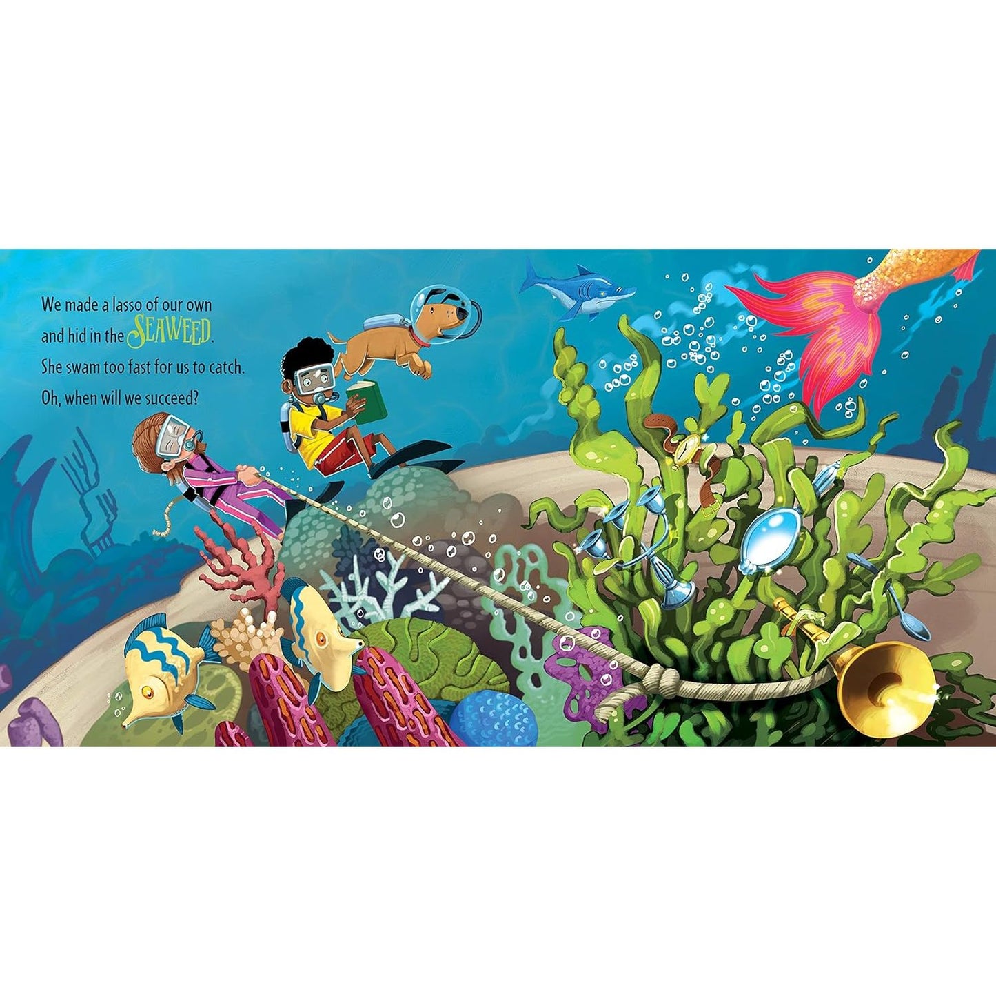 How to Catch a Mermaid Book