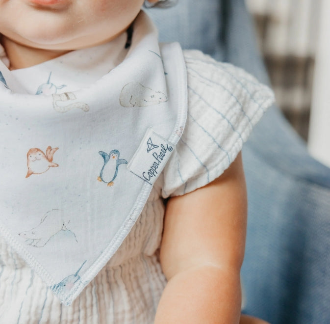 Arctic Wonder Bandana Bib Set (4-Pack)