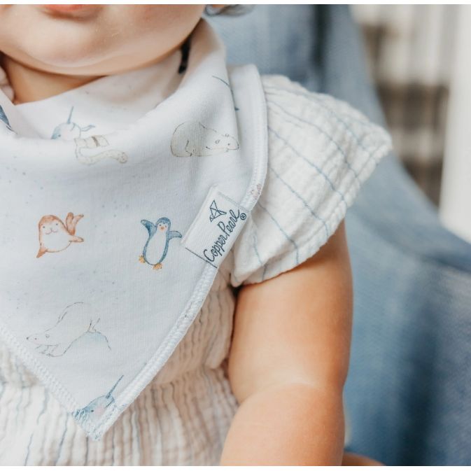 Arctic Wonder Bandana Bib Set (4-Pack)