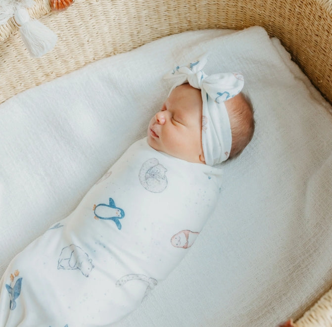 Arctic Wonder Knit Blanket Single