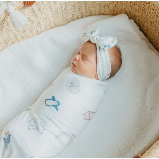 Arctic Wonder Knit Blanket Single