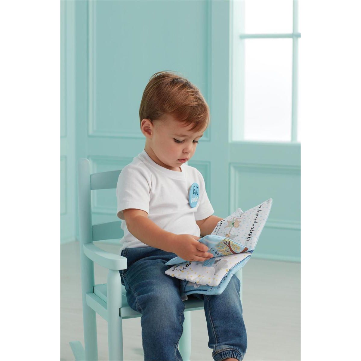 Big Brother Book & Pin Set