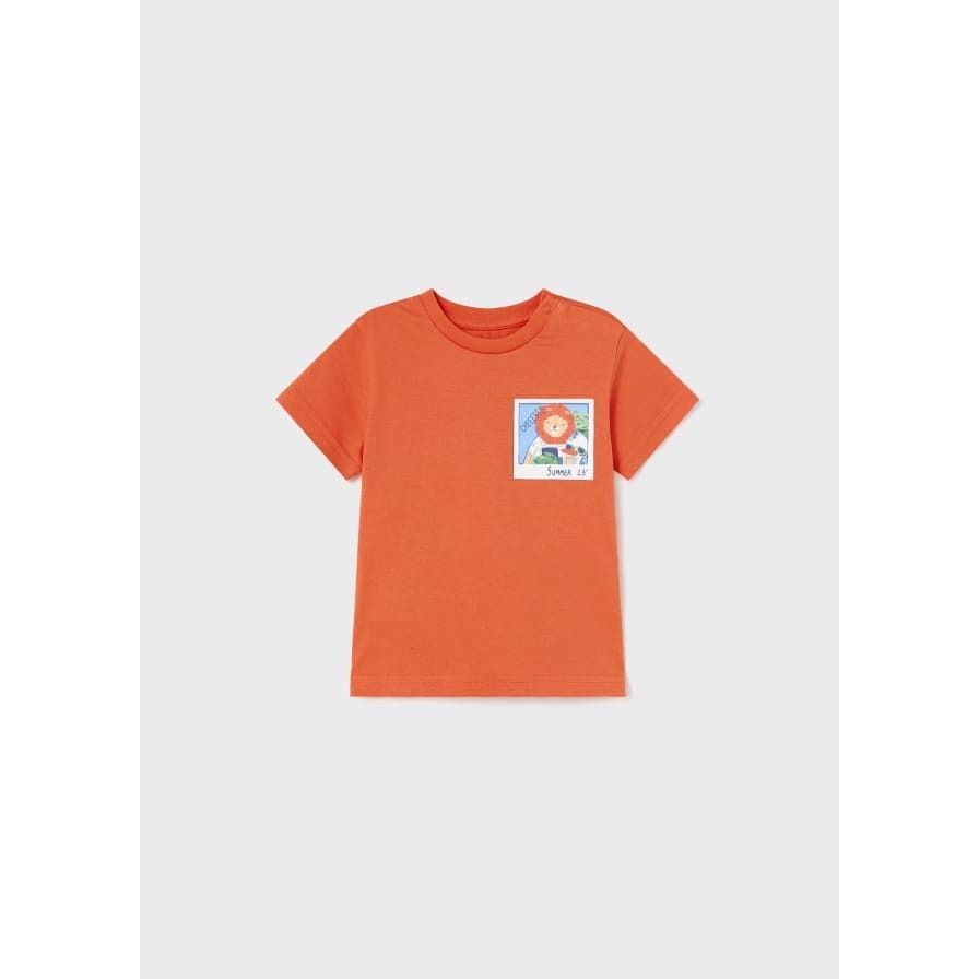 Summer 23 Lion t Shirt -#1019