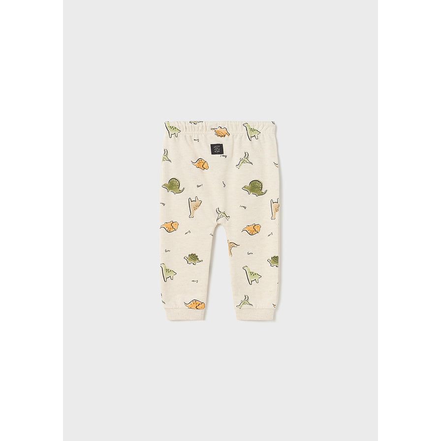 Dino Print Joggers