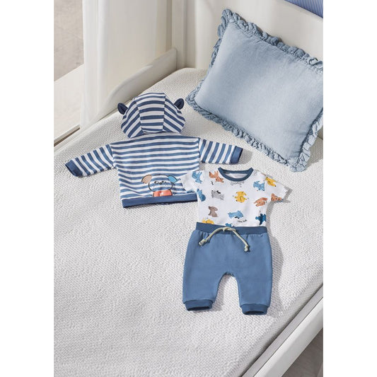 3 Pc Boys Puppy Tracksuit