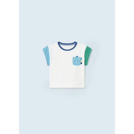 3 Pc Boys Dino Tracksuit Set