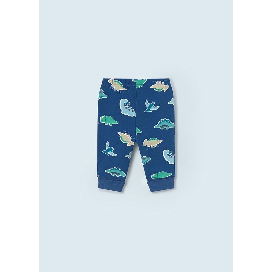3 Pc Boys Dino Tracksuit Set