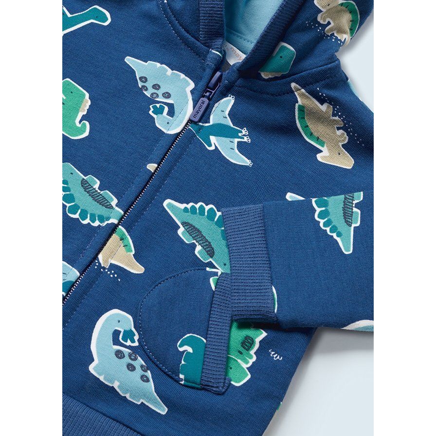 3 Pc Boys Dino Tracksuit Set