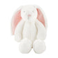 Small Plush Pink Bunny