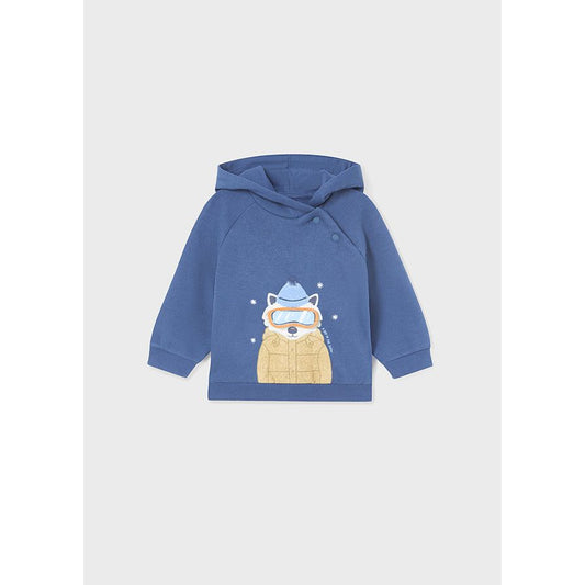 A Day in the Snow Hoodie