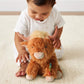 Wyatt the Highland Cow Sweetie Snuggles™ Plush