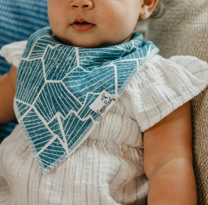 Arctic Wonder Bandana Bib Set (4-Pack)