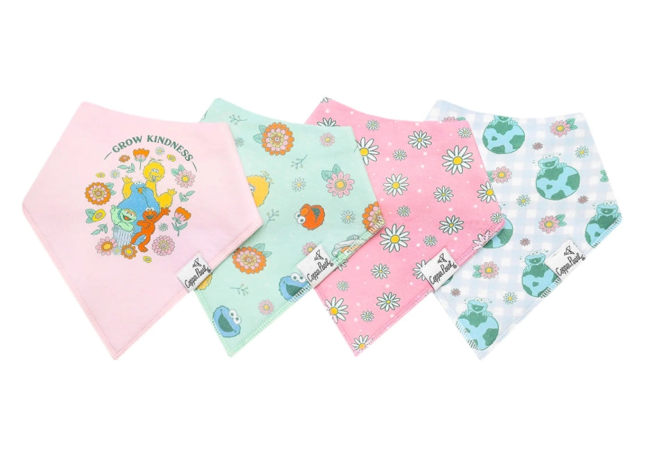 Sesame Street Retro Floral Baby Bandana Bibs