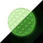 OMG Pop Fidgety - Round Glow-in-the-dark