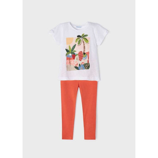 Tropical Palm 2pc Set