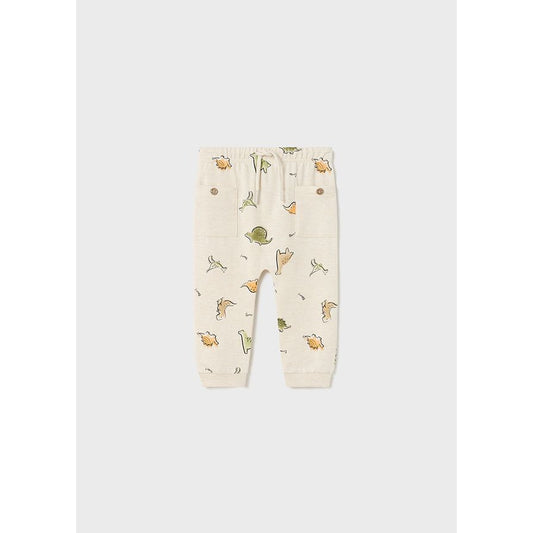 Dino Print Joggers