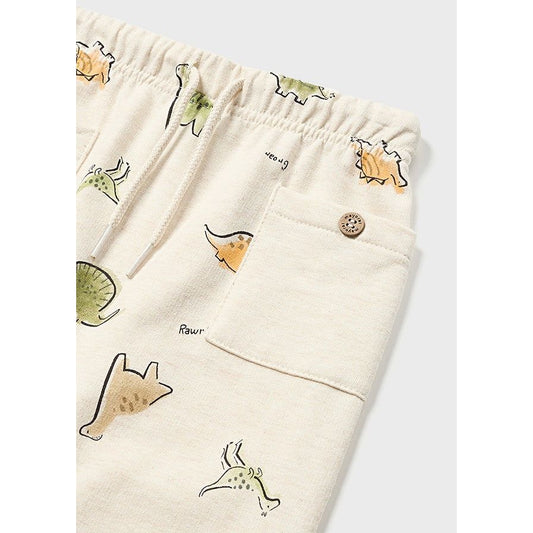 Dino Print Joggers