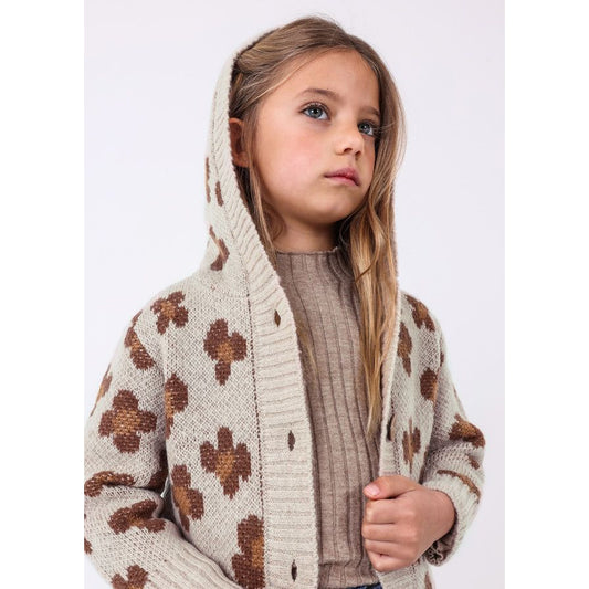Autumn Hooded Knit Cardigan