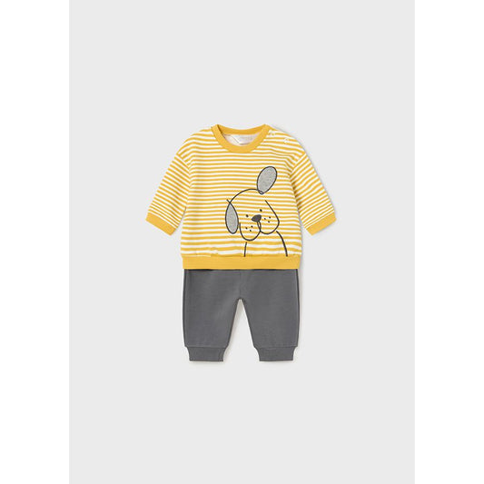 2pc Honey Stripe Puppy Sweatsuit Set